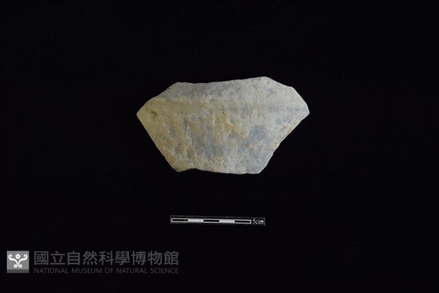 陶片藏品圖，第1張