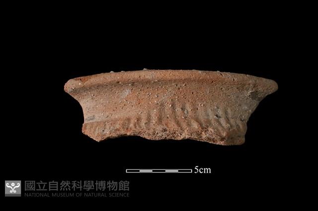 Accession Number:HLL-H PT0344 Collection Image, Figure 1, Total 2 Figures