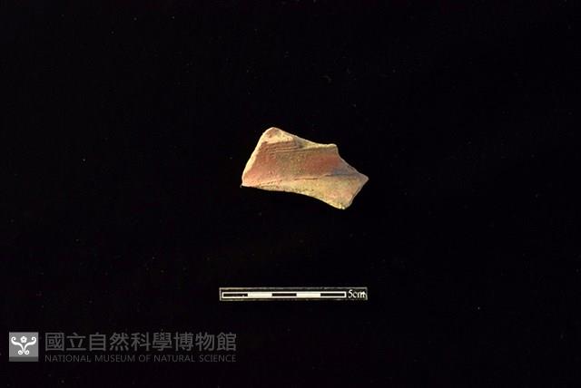 陶罐藏品圖，第1張