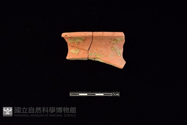 陶罐藏品圖，第1張