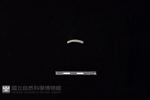 陶環藏品圖，第1張