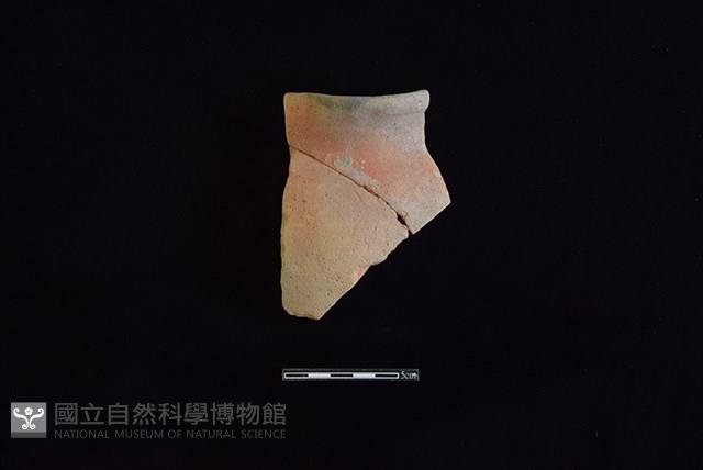 陶罐藏品圖，第1張