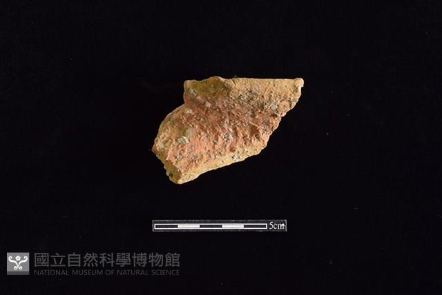 陶罐藏品圖，第1張