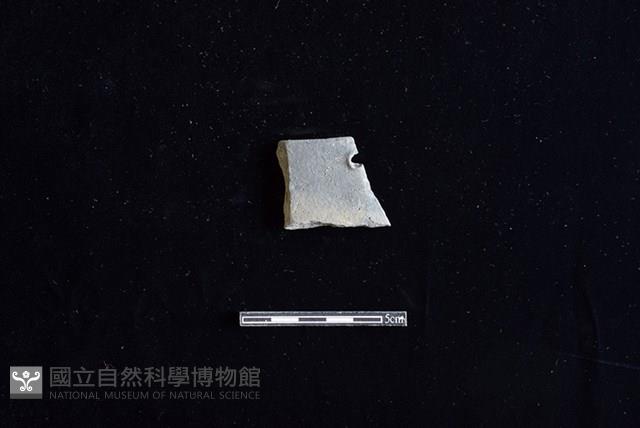 陶片藏品圖，第1張