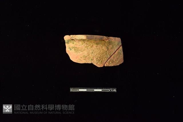 連杯形器藏品圖，第1張