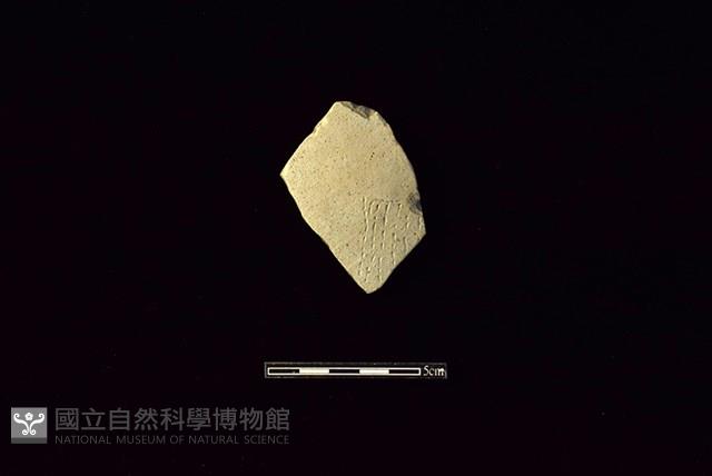 陶片藏品圖，第1張