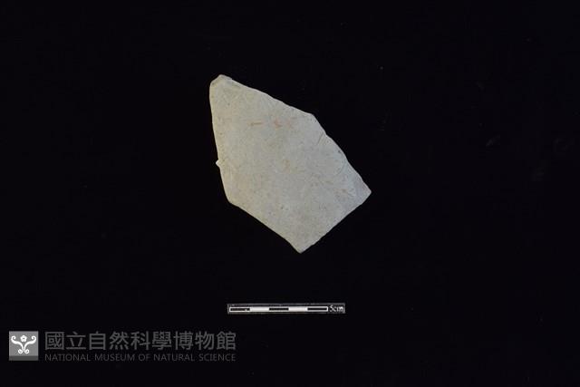 陶片藏品圖，第1張