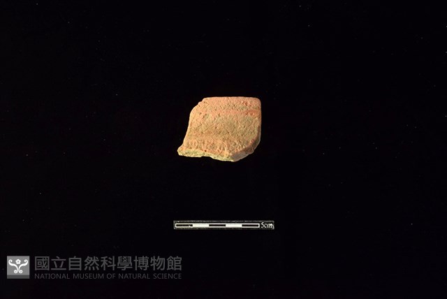 陶罐藏品圖，第1張