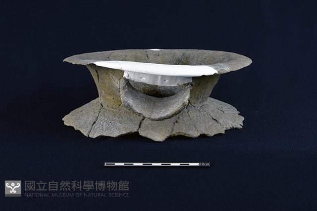 陶罐藏品圖，第1張