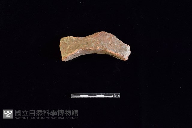 連杯形器藏品圖，第1張