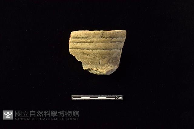 陶罐藏品圖，第1張