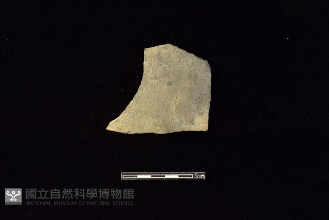 陶片藏品圖，第1張