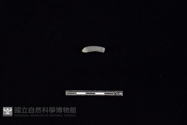 陶環藏品圖，第1張