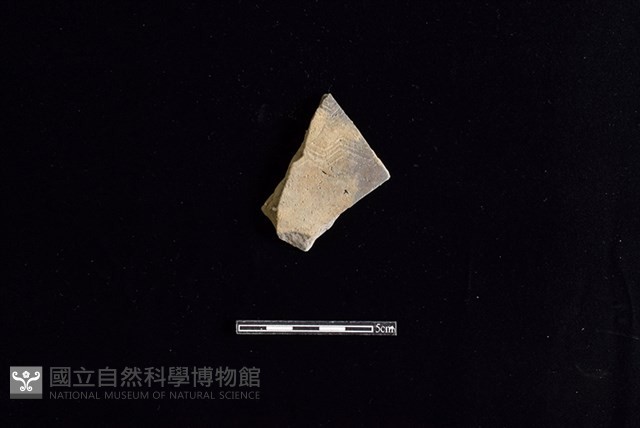 陶片藏品圖，第1張