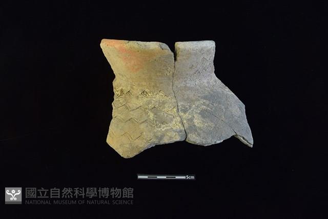 Accession Number:HLL-I-PT1824 Collection Image, Figure 1, Total 2 Figures