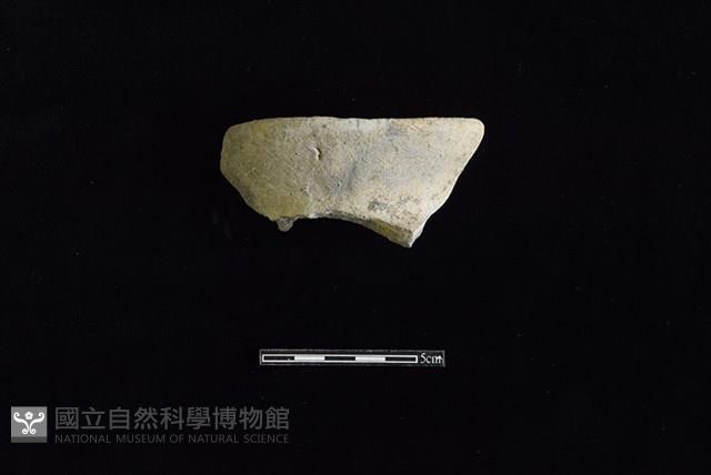 陶罐藏品圖，第1張