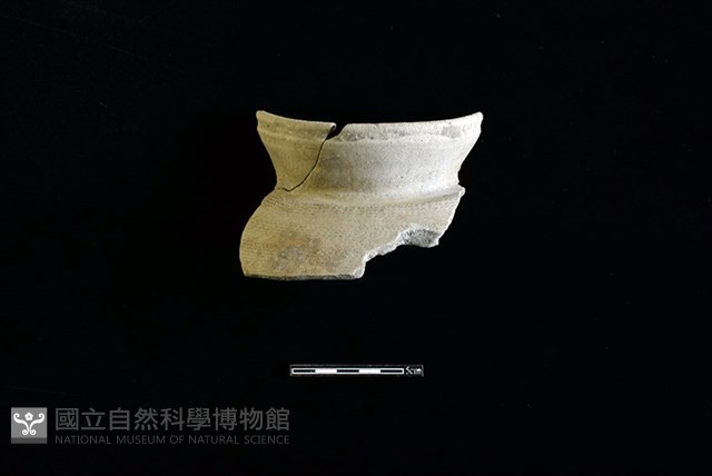陶罐藏品圖，第1張