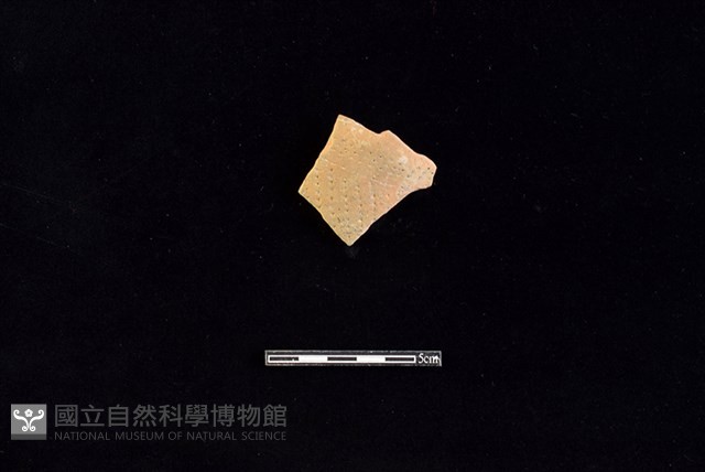 陶片藏品圖，第1張