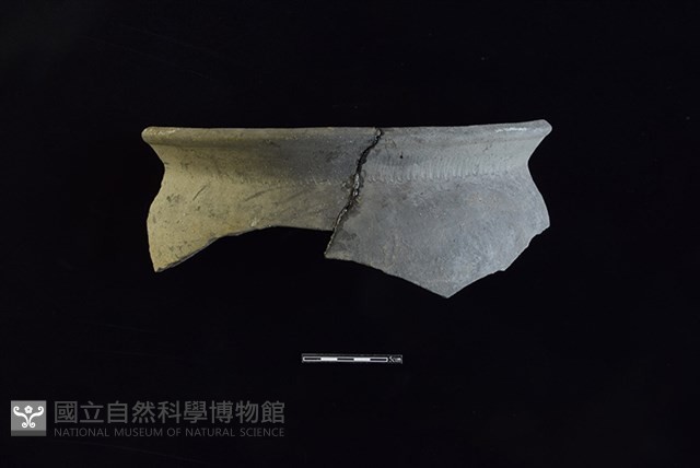 陶罐藏品圖，第1張