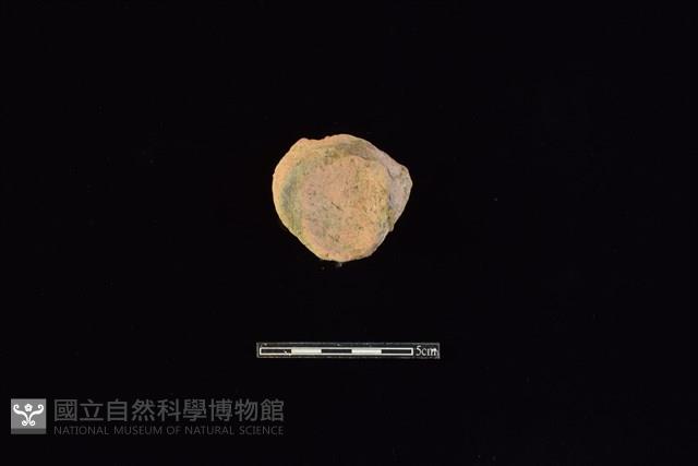 陶片藏品圖，第1張