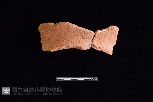 陶罐藏品圖，第1張