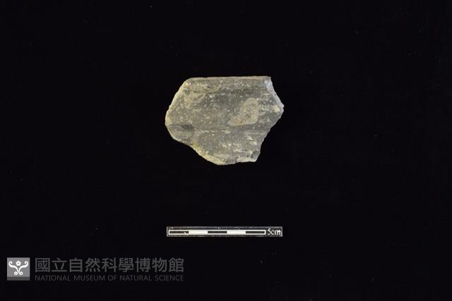 陶罐藏品圖，第1張