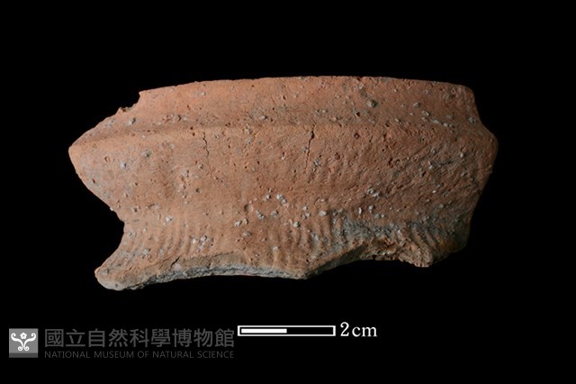 陶罐藏品圖，第1張