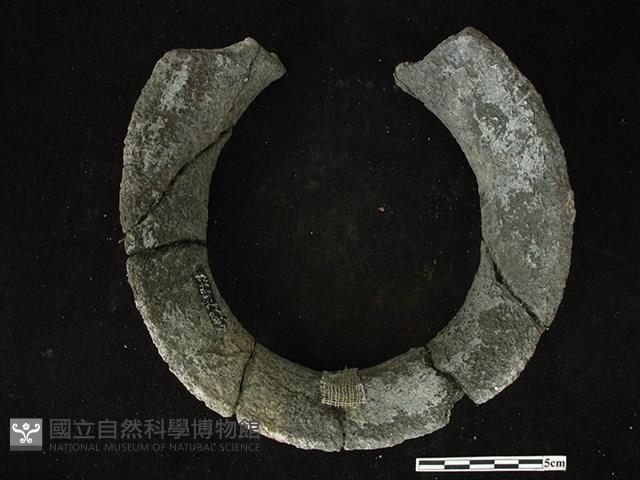 陶片藏品圖，第1張