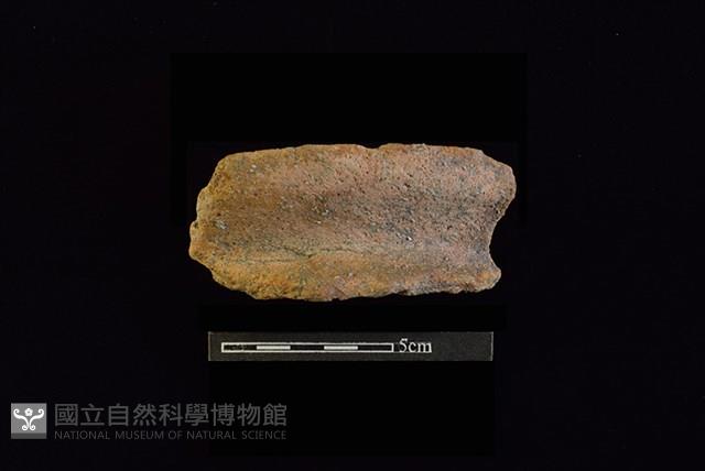 陶罐藏品圖，第1張