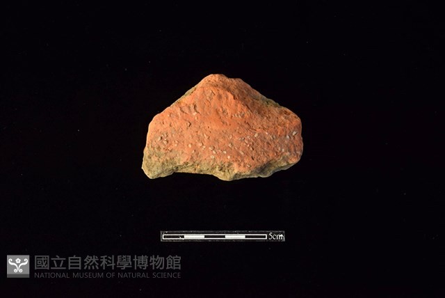 陶罐藏品圖，第1張