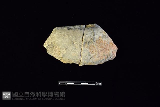 陶缽藏品圖，第1張