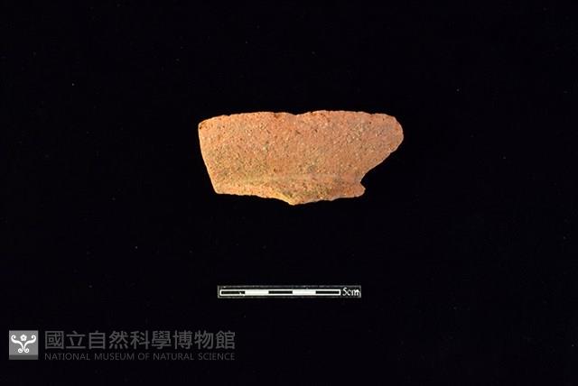 陶罐藏品圖，第1張