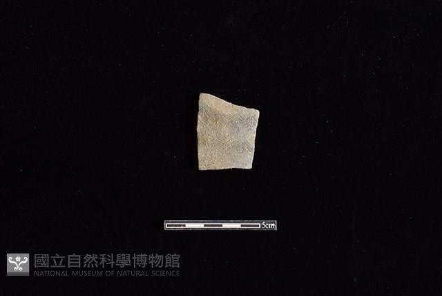 陶片藏品圖，第1張