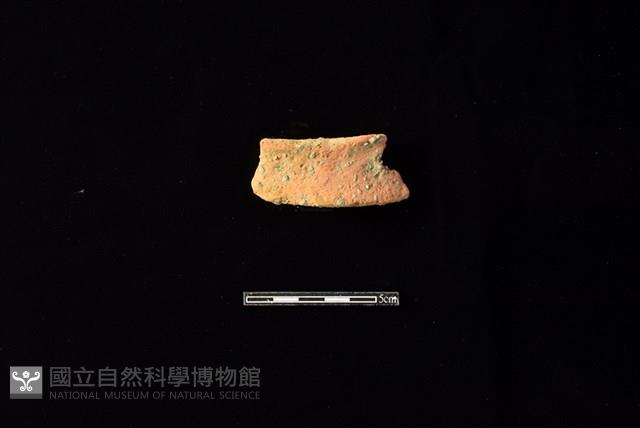 陶片藏品圖，第1張