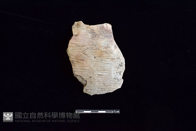 陶片藏品圖，第1張