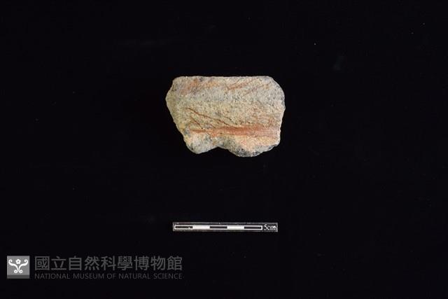 陶罐藏品圖，第1張