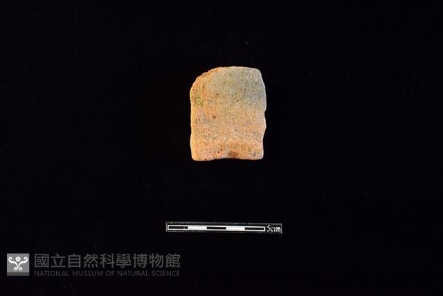 陶片藏品圖，第1張