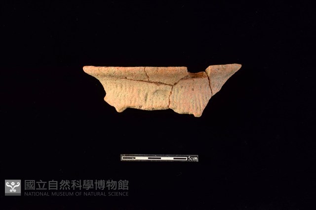 陶罐藏品圖，第1張