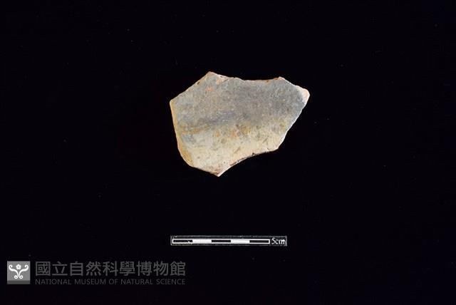 Accession Number:HLL-H PT1017 Collection Image, Figure 1, Total 2 Figures