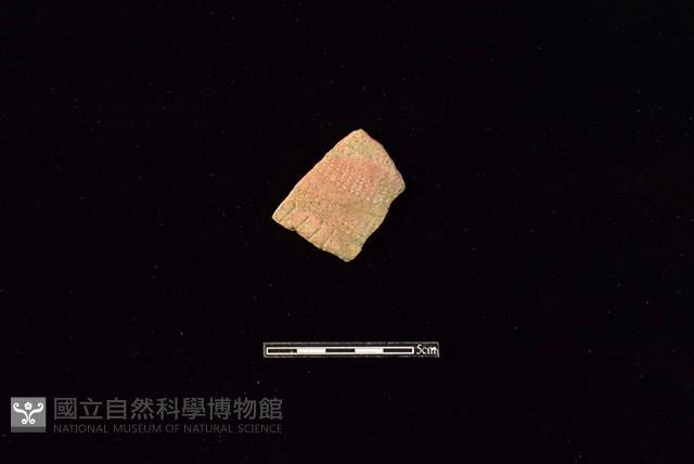 陶片藏品圖，第1張