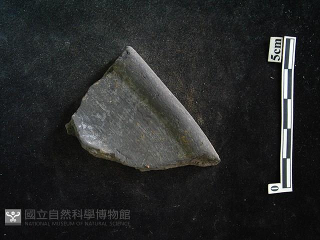 陶片藏品圖，第1張