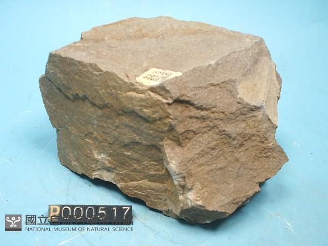 混濁砂岩藏品圖，第6張
