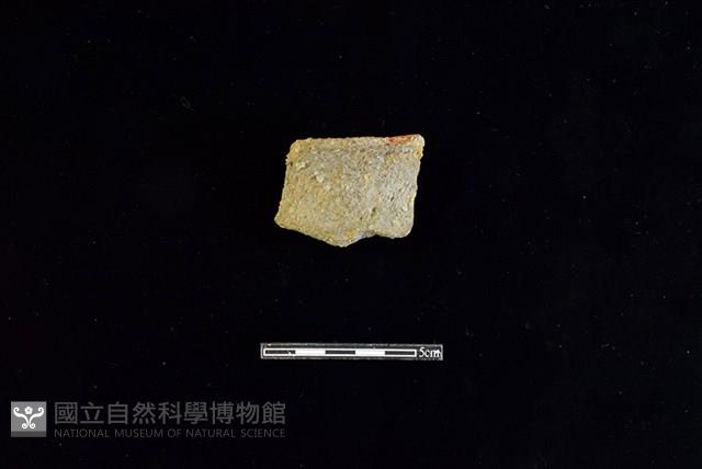 Accession Number:HLL-H PT0417 Collection Image, Figure 1, Total 2 Figures