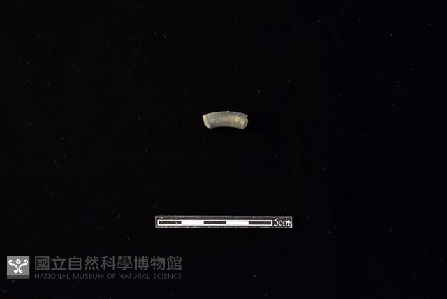 陶環藏品圖，第1張