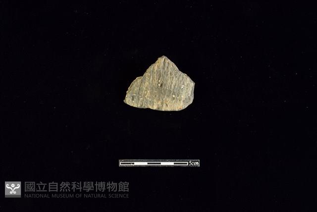 陶片藏品圖，第1張