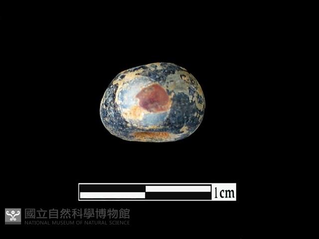 玻璃珠藏品圖，第1張