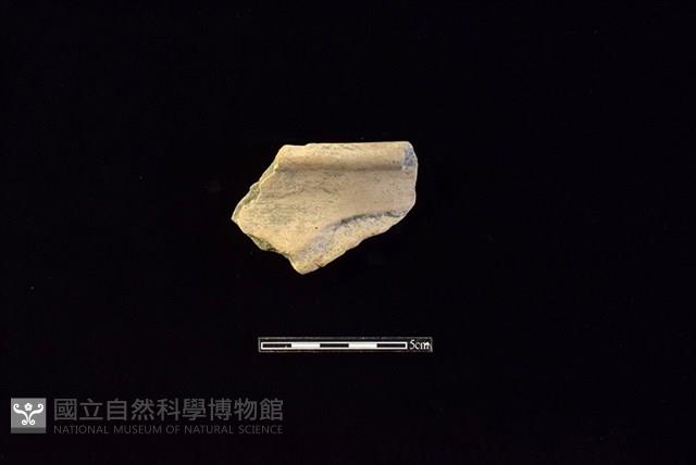 陶罐藏品圖，第1張