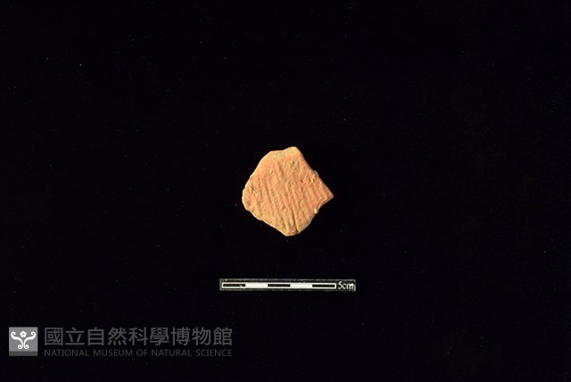 陶片藏品圖，第1張