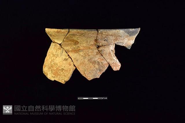 陶罐藏品圖，第1張