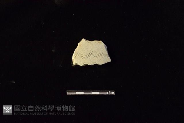 陶片藏品圖，第1張